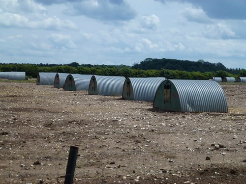 Photo arks but pigs west - arks,