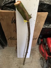 Blackthorn SHANK WALKING STICK