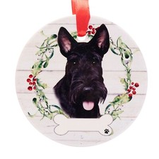Scottish Terrier hanging