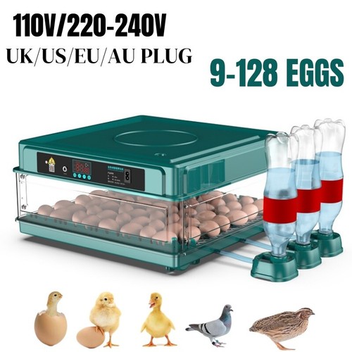 128 eggs automatic - eggs, egg