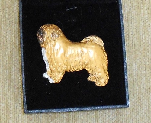 Tibetan terrier dog breed - ,
