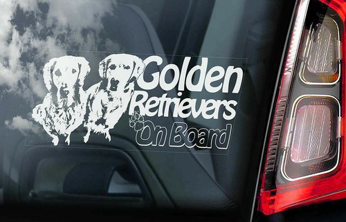 Golden retrievers car - golden,