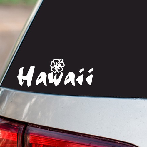 Hawaii hibiscus flower - hawaii,