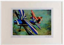 781061 Pitts Special