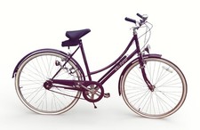 Vintage Raleigh Chiltern