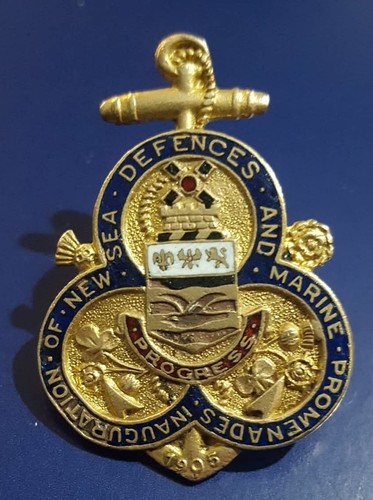 Scarce antique enamel badge - antique,
