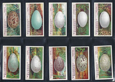 OGDENS - BIRDS EGGS - FULL SET