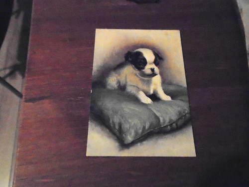 Vintage postcard the - vintage, of