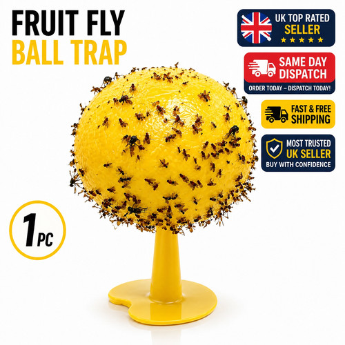 Fruit fly balls - fly,