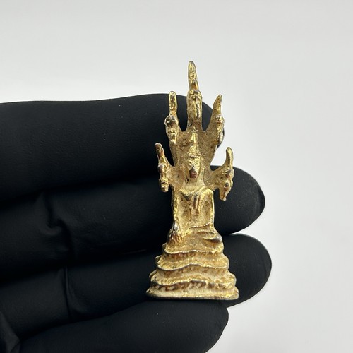 Naga prok thai - naga,