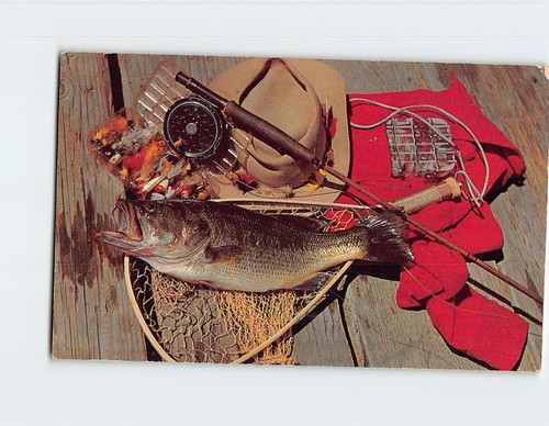 Postcard freshly caught - postcard, &