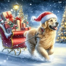 GOLDEN RETRIEVER (67) CROSS