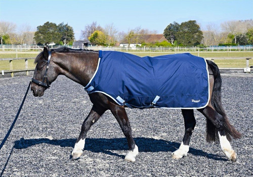 Rhinegold horse walker/lunge