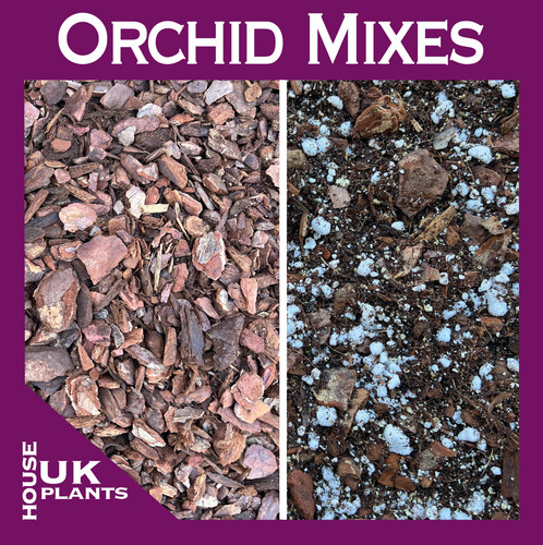 Orchid potting compost mix - compost,