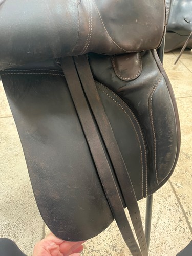 Brown ideal dressage - ideal,