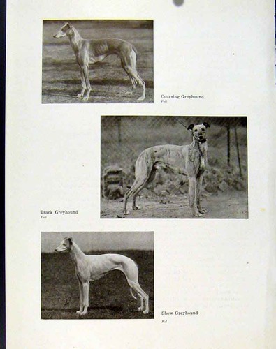 Original old antique print - old,