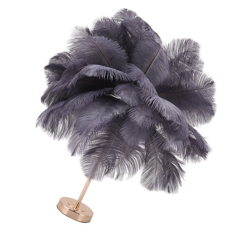 Ostrich feather table light - ostrich,
