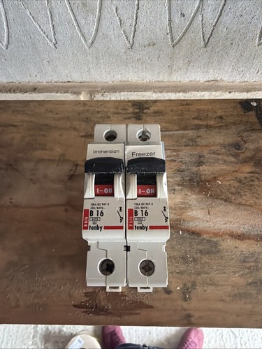 Tenby amp curve 6ka mcb - 16,