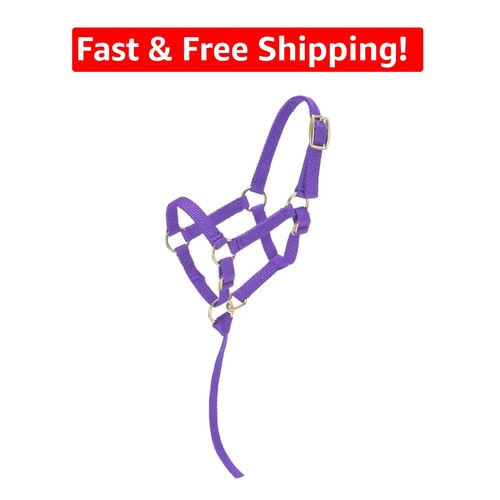 Adjustable nylon halter - adjustable,