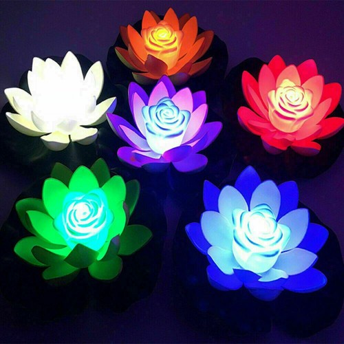 Water landscape lotus - water,