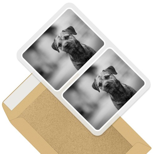 Rectangle stickers 10cm bw - 2, x