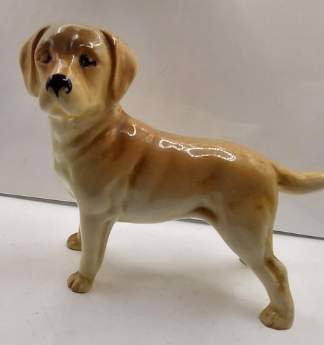 Vintage golden labrador - golden,