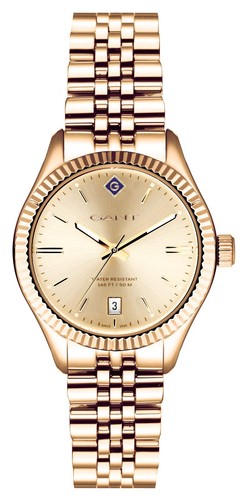Gant sussex gold dial - gant,