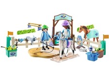 Modern riding school horse - riding,