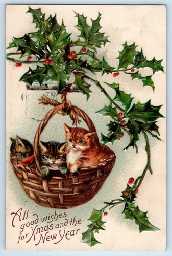 1909 new year - cat, on