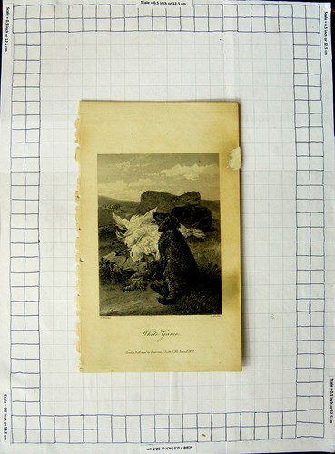 Original old antique print - antique,
