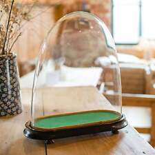 Antique Ovoid Clock Dome, English, Glass, Taxidermy Display Showcase, Victorian