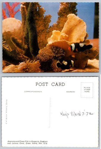 Vintage green island australia - island,