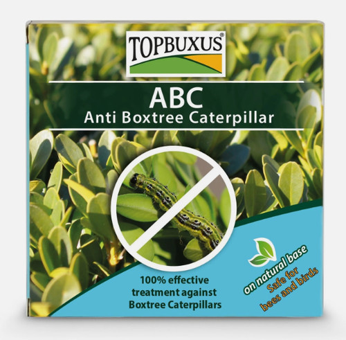 Topbuxus abc anti boxtree - anti,