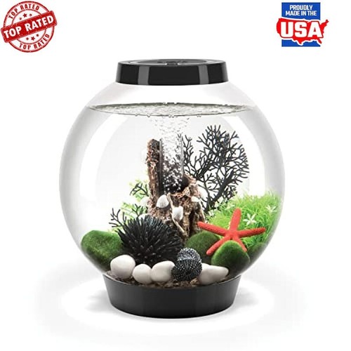 Compact gallon acrylic - compact,