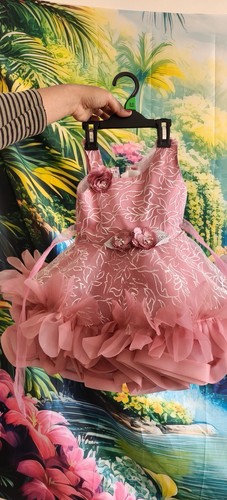 Girl baby clothes bundle - girl's,
