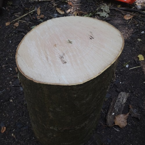 Ash wood chopping block heavy - wood,