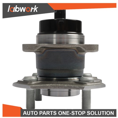 Rear wheel hub - rear, bearing
