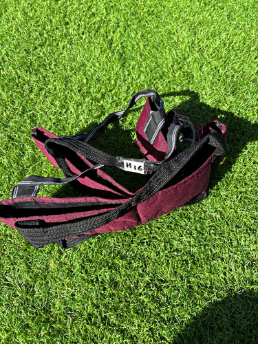 Lawn bowls carrier - lawn,