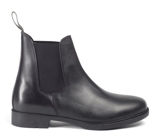 Brogini pavia adults short - brogini,