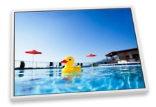 Rubber Duck Swimming Pool Blue CANVAS FLOATER FRAME Wall Art Print Picture