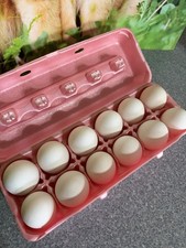 12 White Leghorn Hatching Eggs