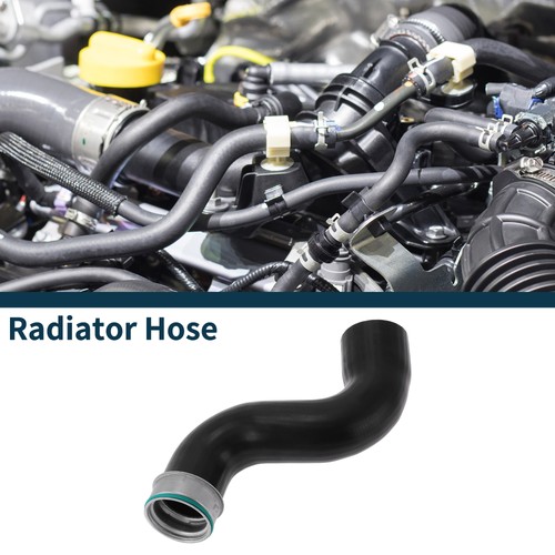 Radiator hose for - radiator,