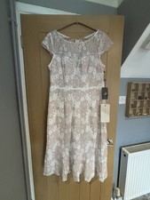 Adrianna Papell Lace Dress, Ecru And Ivory, Size 18 BNWT