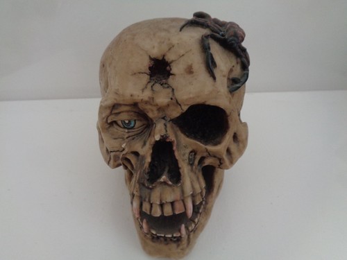 Skull head vampire with - head,