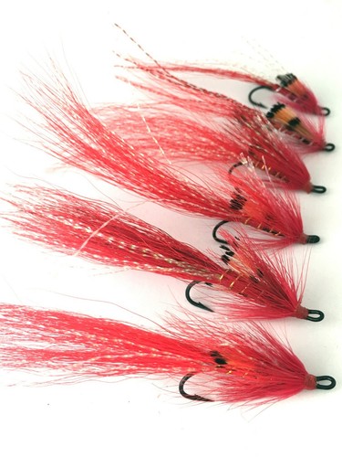 Fly fishing salmon - salmon, flies