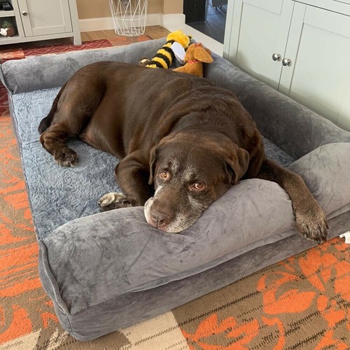 Xxl large calming dog bed - xxl,