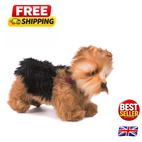Soft white yorkshire terrier - soft,
