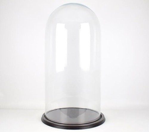 Glass dome with wooden - with,