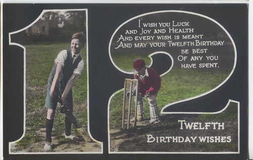 Cricket 12th birthday wishes - 12th,