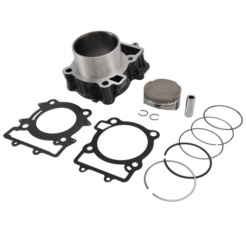 Cylinder piston gaskets kit - cylinder,